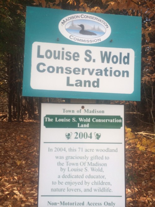 Louise S. Wold Conservation Land
