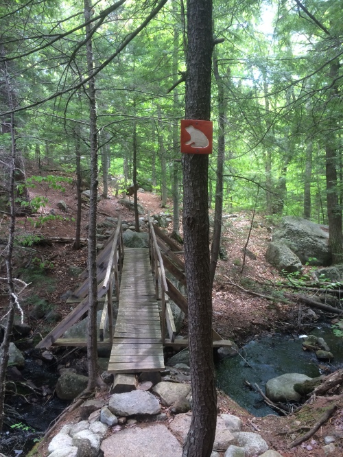 Bridges and trail signs